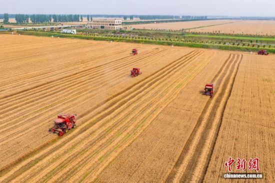 年中盘点：中国粮食生产经受极端天气考验