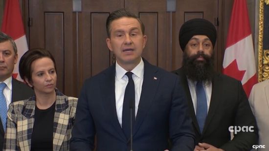 博励治批评卡尼